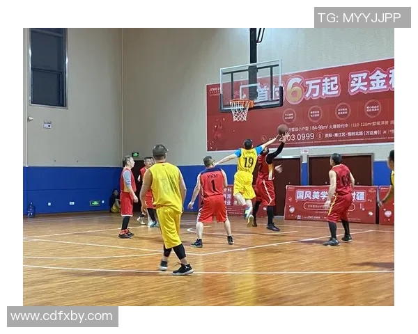 资阳篮球界蔡姓明星的成长历程与辉煌成就全揭秘